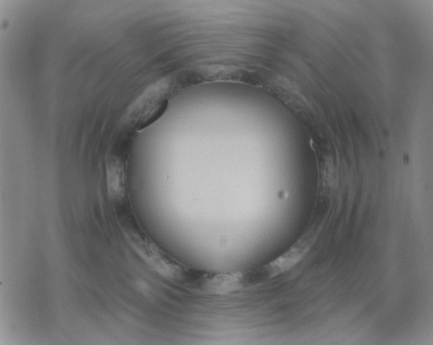 X0000071830138200607141709