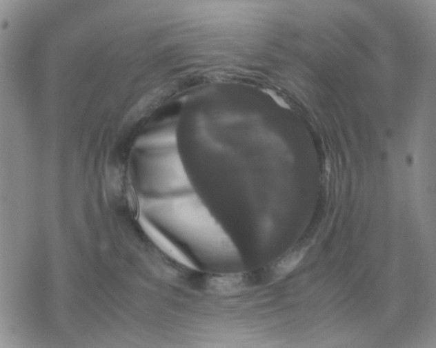 X0000071830139200607141709