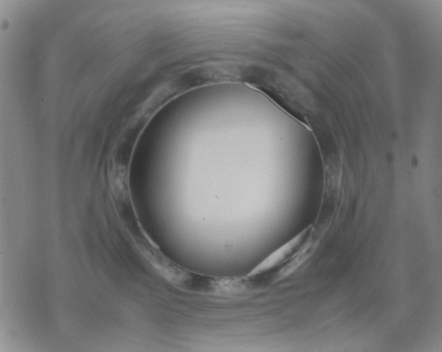 X0000071830141200607141709