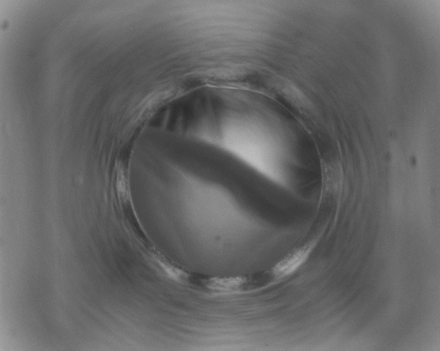 X0000071830143200607141709