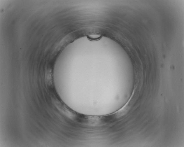 X0000071830144200607141709