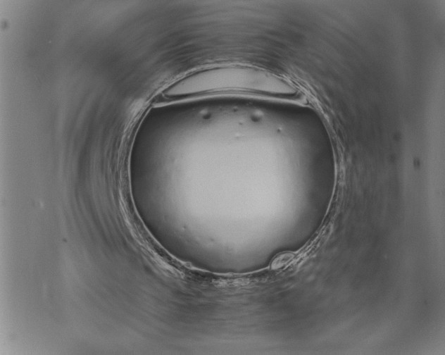 X0000071830145200607141709