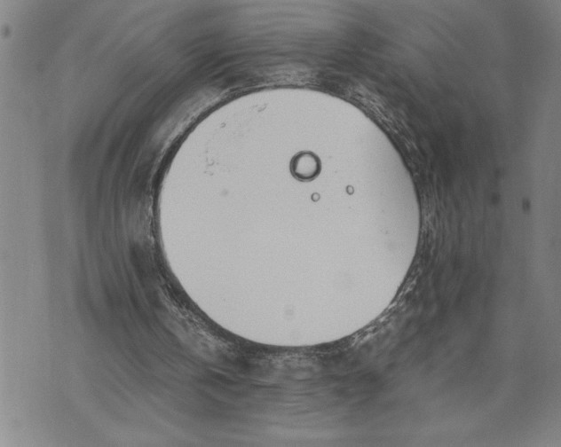 X0000071830146200607141709