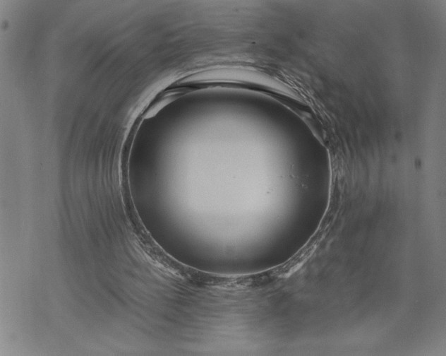 X0000071830148200607141709