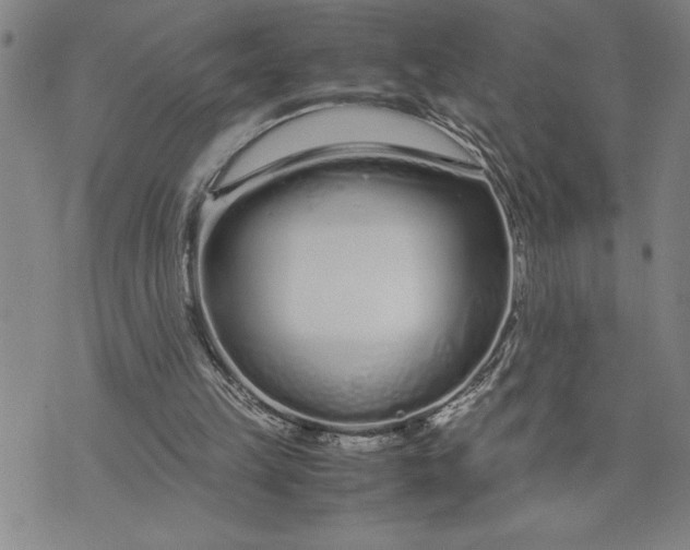 X0000071830149200607141709