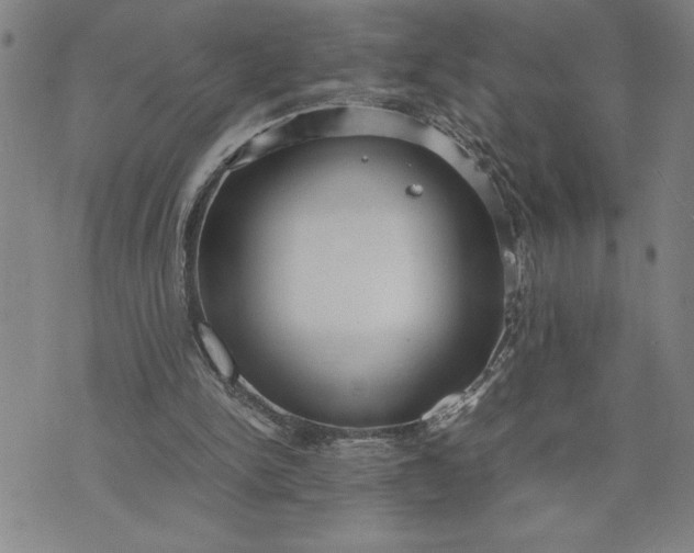 X0000071830150200607141709