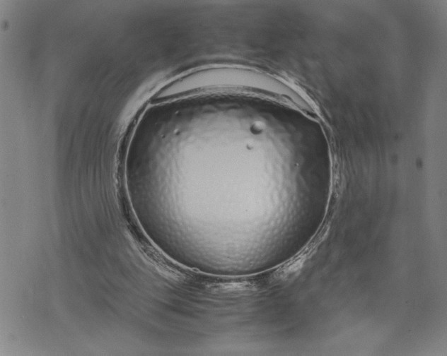 X0000071830151200607141709