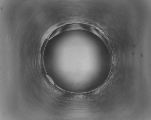 X0000071830152200607141709