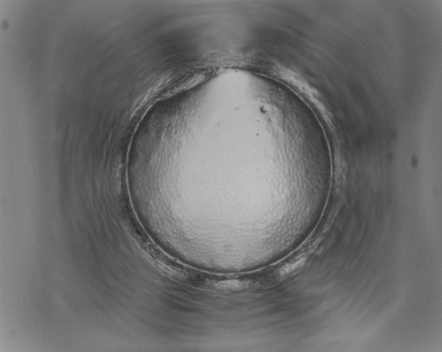 X0000071830153200607141709