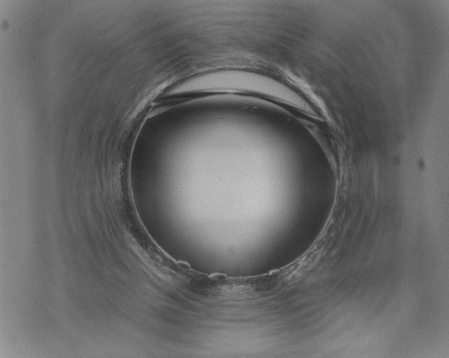 X0000071830154200607141709