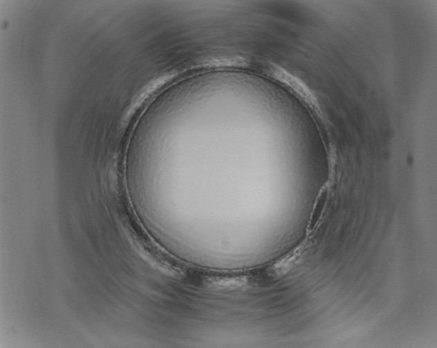 X0000071830155200607141709