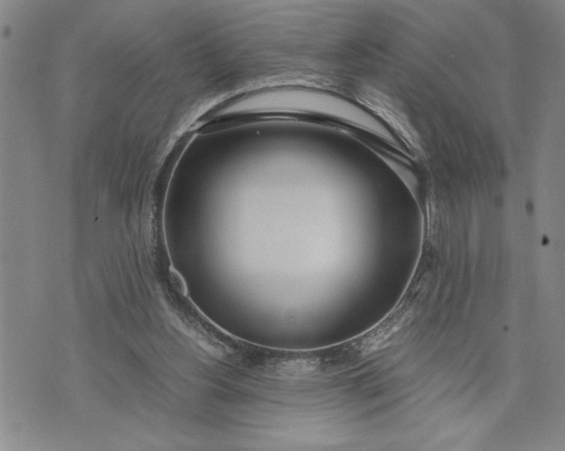 X0000071830156200607141709