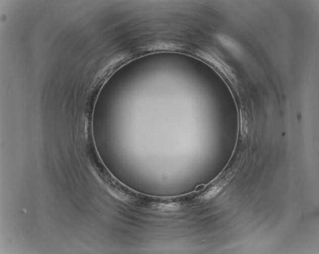 X0000071830157200607141709