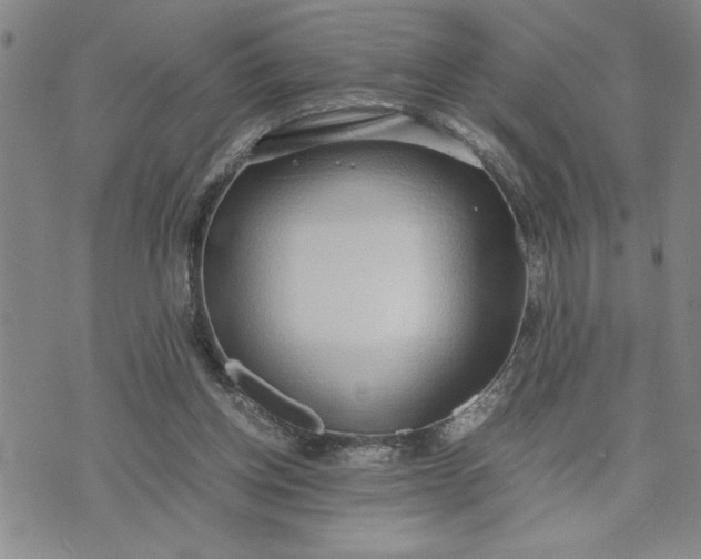 X0000071830158200607141709