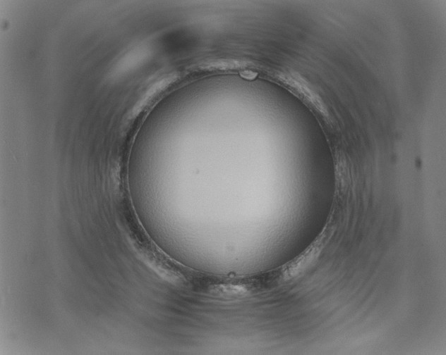 X0000071830159200607141709