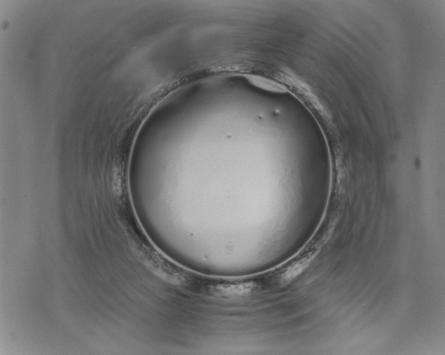 X0000071830161200607141709