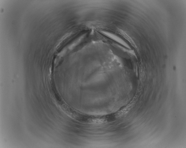 X0000071830163200607141709