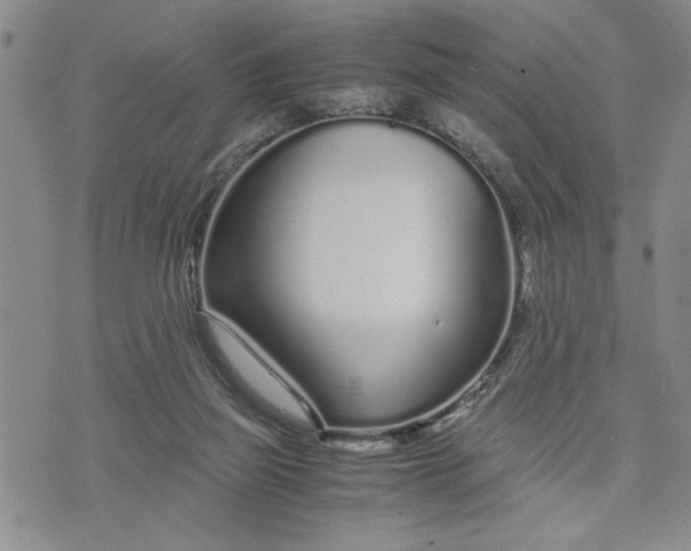 X0000071830165200607141709