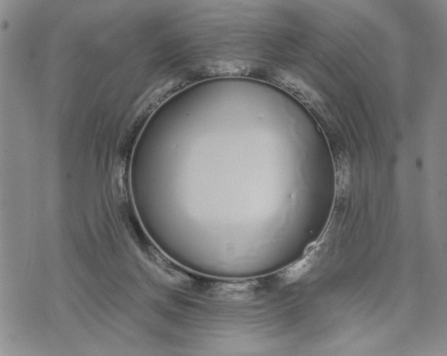 X0000071830166200607141709