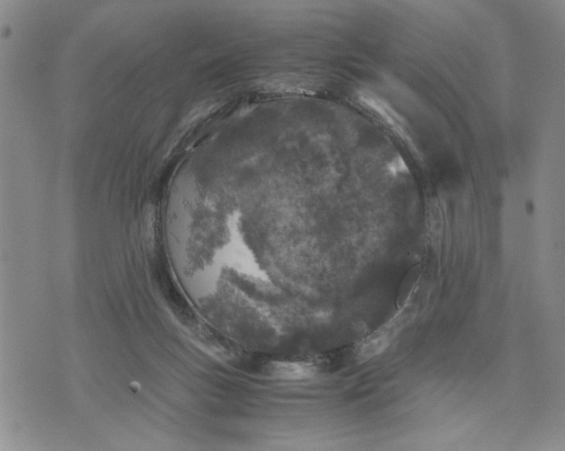 X0000071830167200607141709