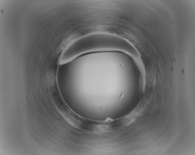 X0000071830168200607141709