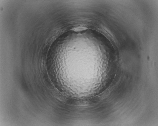 X0000071830169200607141709