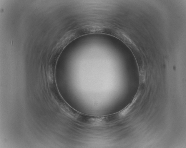 X0000071830170200607141709