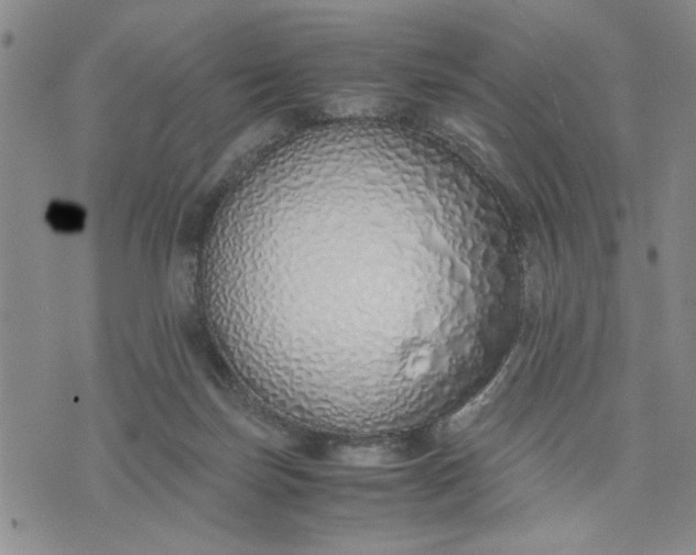 X0000071830171200607141709