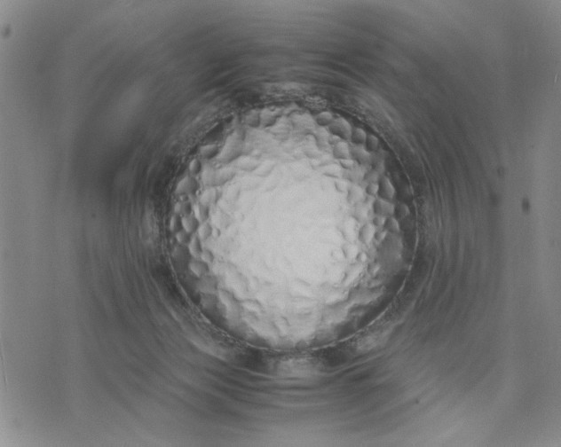 X0000071830173200607141709