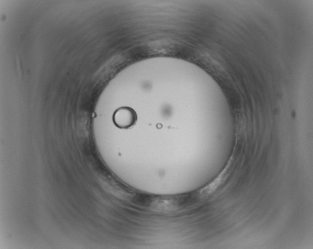 X0000071830174200607141709