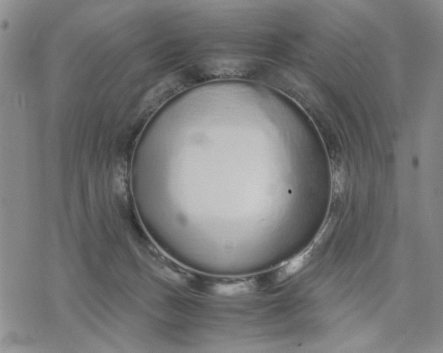 X0000071830175200607141709