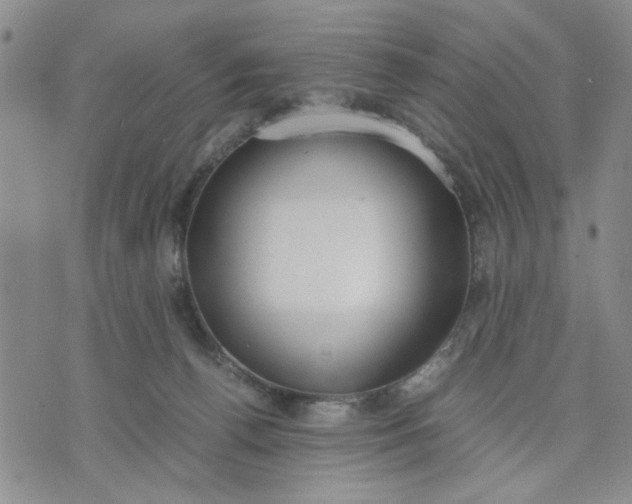 X0000071830176200607141709