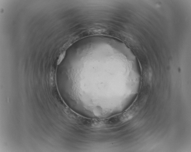 X0000071830177200607141709