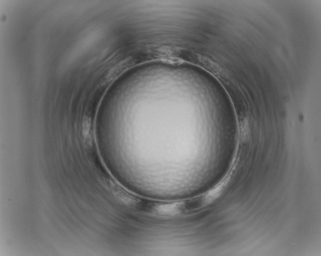 X0000071830178200607141709