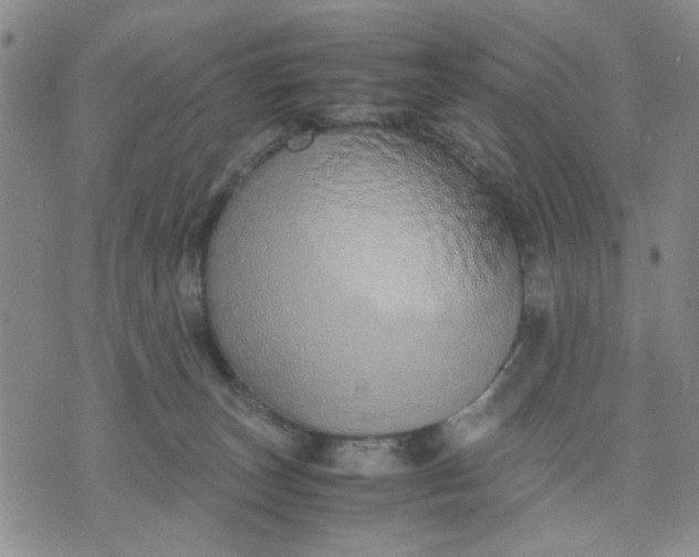 X0000071830179200607141709