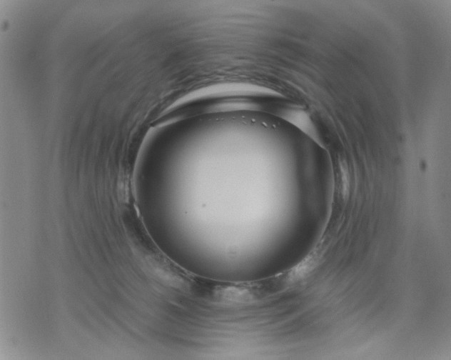 X0000071830180200607141709