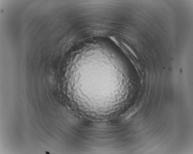 X0000071830181200607141709