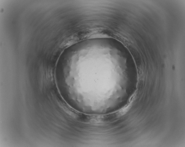 X0000071830182200607141709