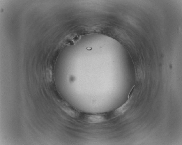 X0000071830183200607141709