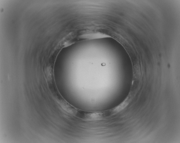 X0000071830184200607141709