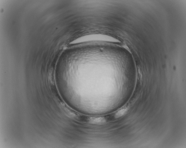 X0000071830185200607141709