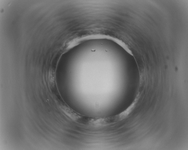 X0000071830186200607141709