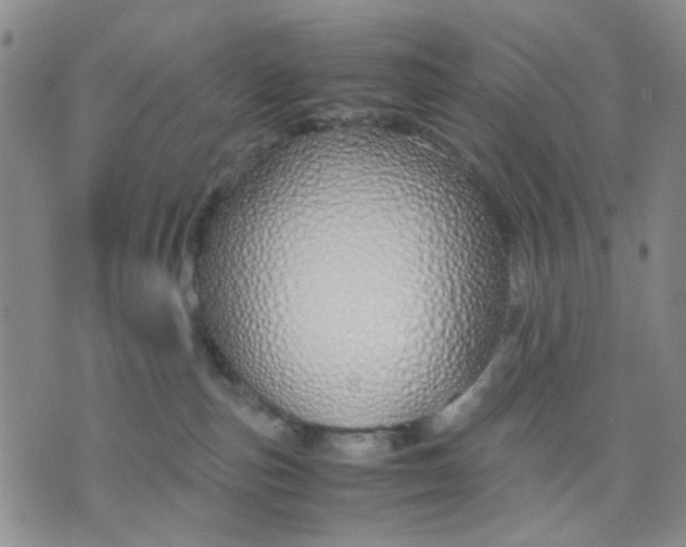 X0000071830187200607141709