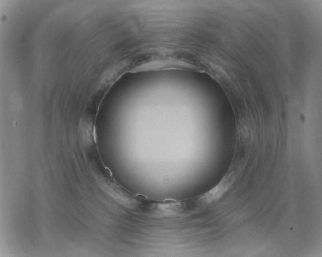 X0000071830188200607141709