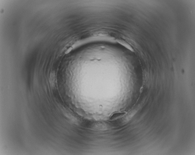 X0000071830189200607141709