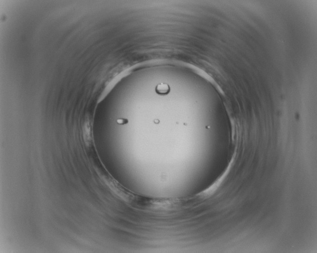 X0000071830190200607141709