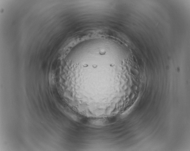 X0000071830191200607141709