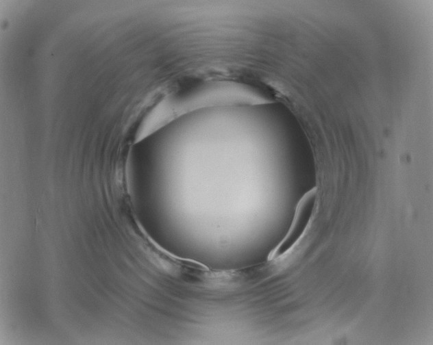 X0000071830192200607141709