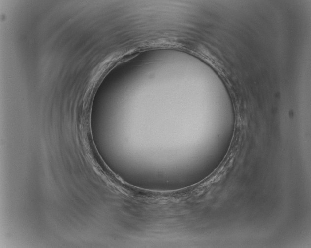 X0000071830193200607141709