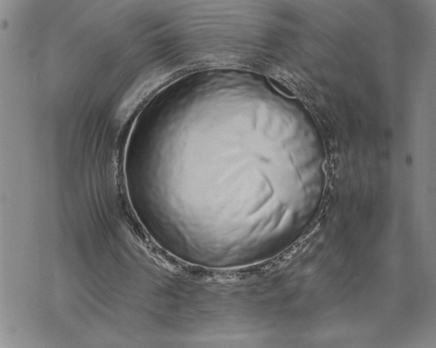 X0000071830194200607141709